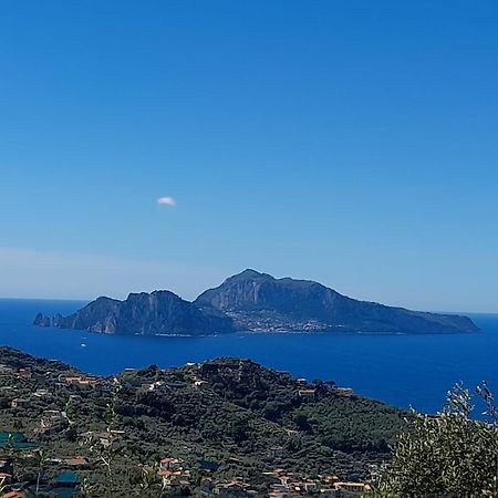 Вилла Al Calar Del Sole Масса-Лубренсе Экстерьер фото